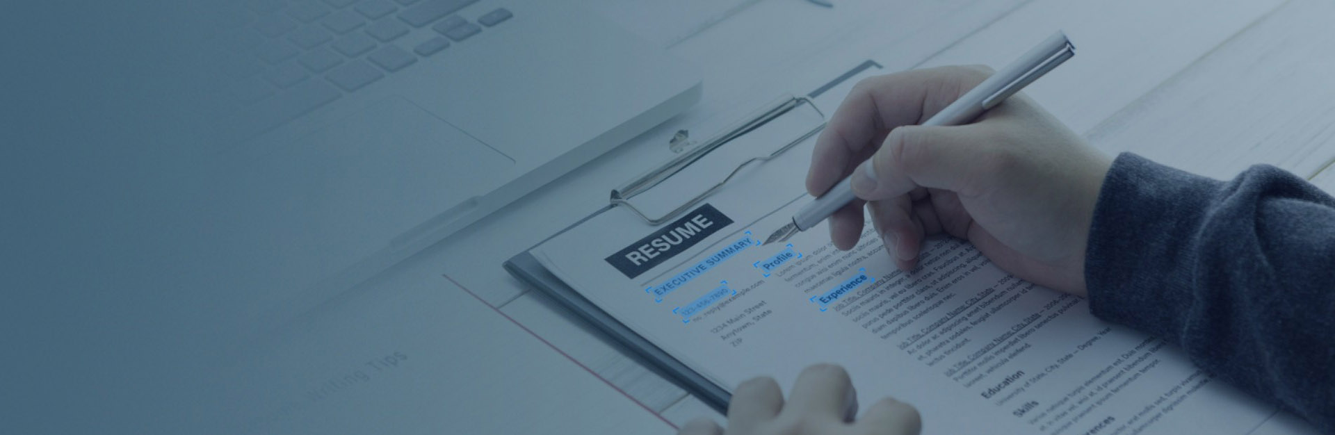 banner-contact