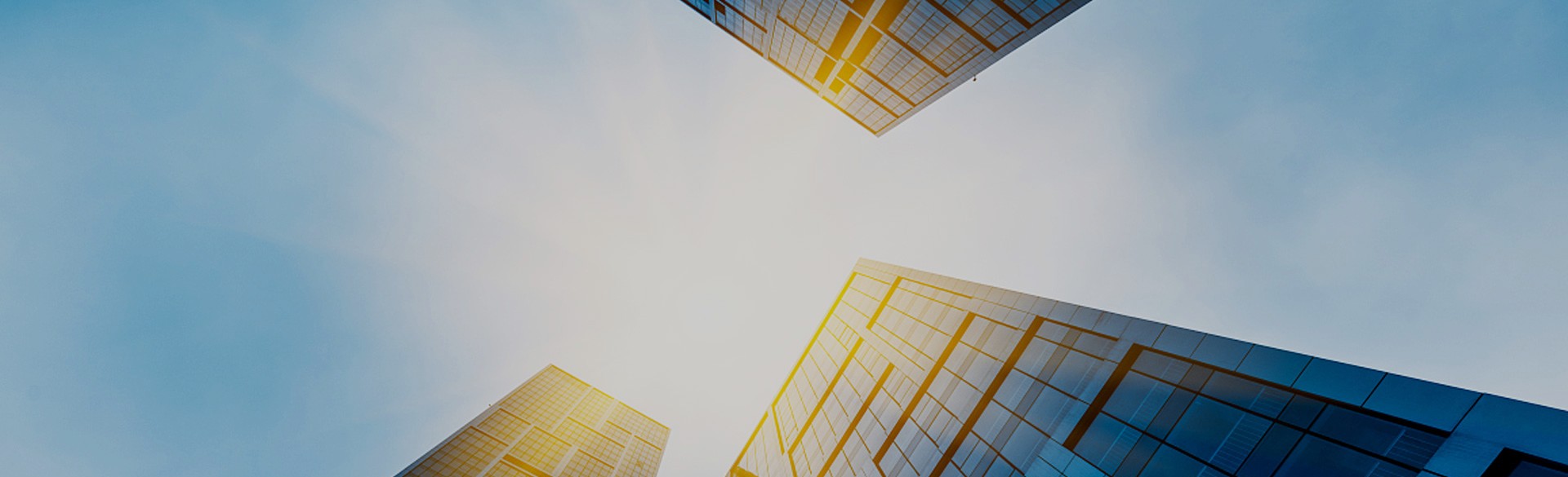 banner-about
